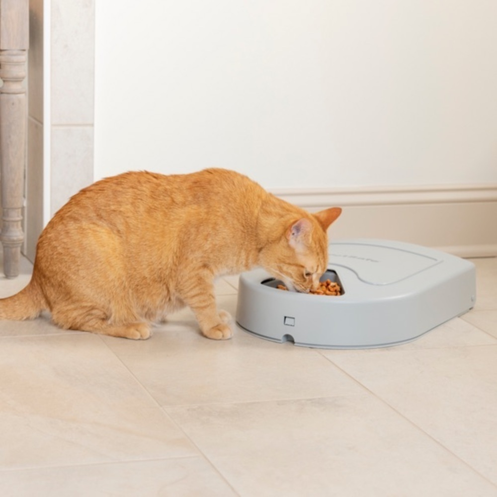 PetSafe 5 Meal Automatic Programmable Pet Feeder for Cats Dogs Small Pets - Picture 4 of 12